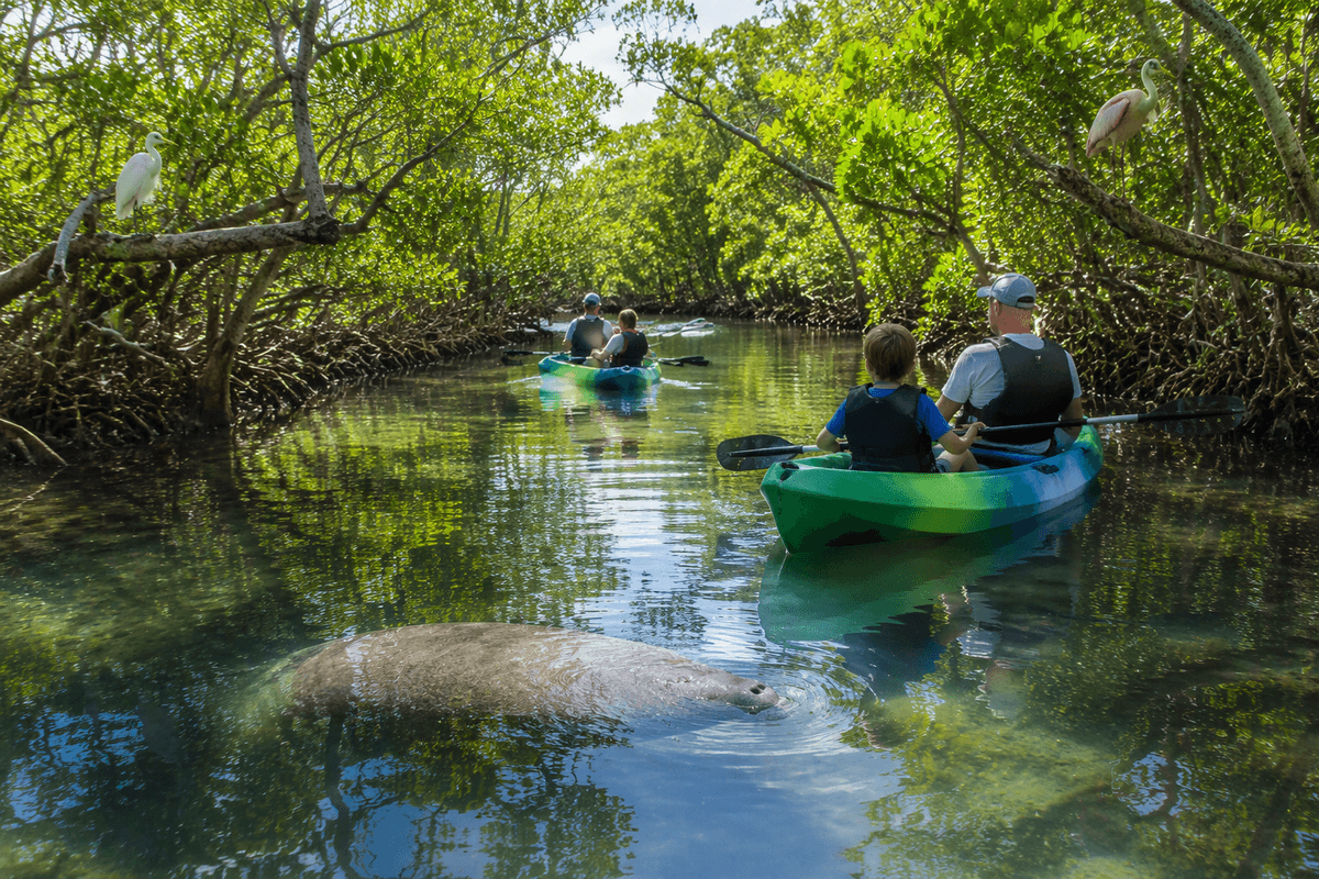 Top family adventures: water, wildlife, and boats